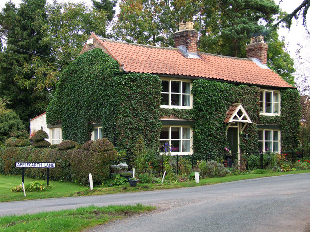 Ivy Covered Cottage