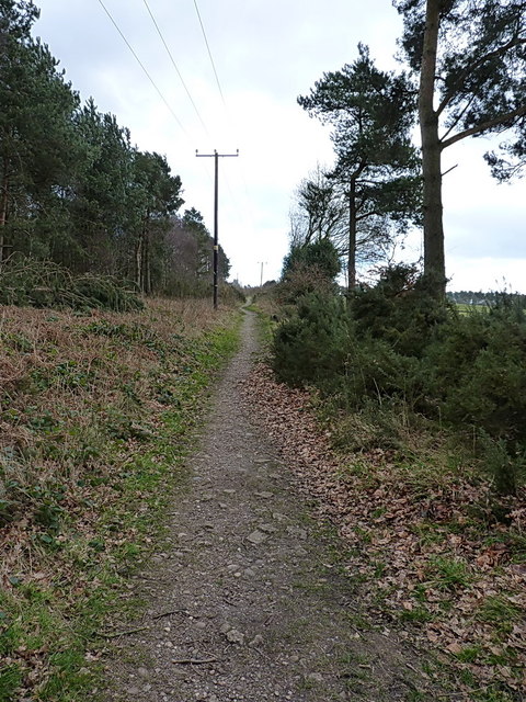 Up the bridleway towards Pye Green