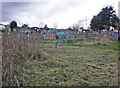 Allotments, Periton