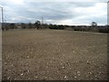 SE5220 : Stony field, east of Northfield Lane by Christine Johnstone