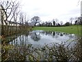 A flooded field, Mullaghmenagh