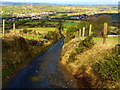 Gordons Lane, Camlough