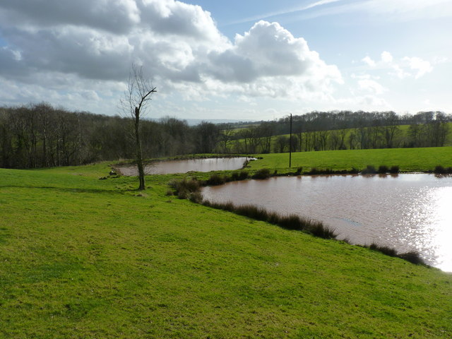 Fishing lakes, Newlands, near Cross Ash