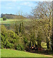 The Berkshire Downs near Woodway, Oxfordshire