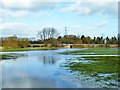 Thame water meadows above Wheatley Bridge