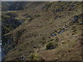 NH0216 : Steep north bank of Allt Grannda in Kintail by ian shiell