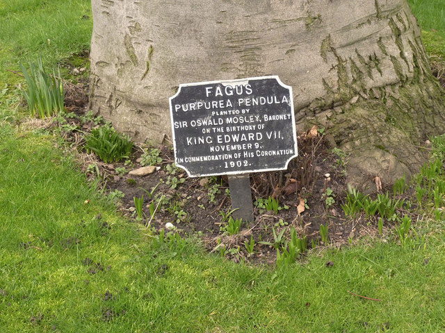 Plaque at the foot of copper beech, Rolleston Almshouses