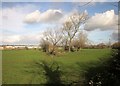 Trees around pond, Fishpool Hill