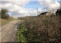 Brambles on Fishpool Hill