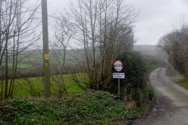 North Cornwall : Country Lane