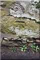 Benchmark on Church Way wall, near Tudor Cottage