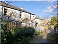 Wiggins and Pointers Cottages, off Wiggins Lane, Ham