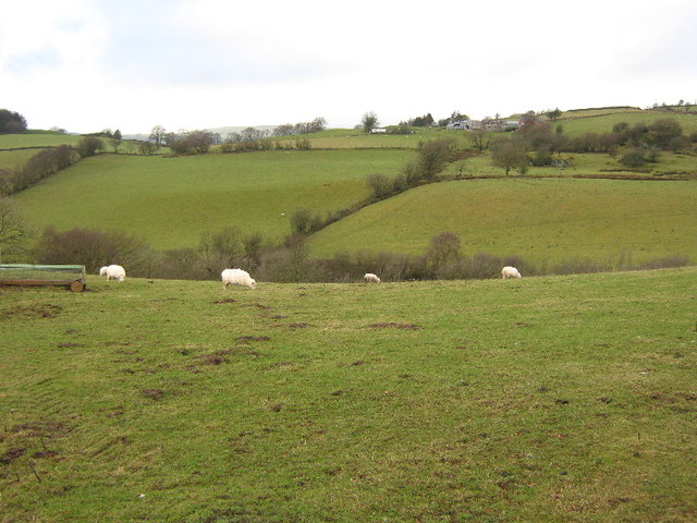Fields near Pwll-pridd