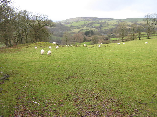 Field near Tyddyn-bach