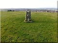 Bottoms Farm Trig Point