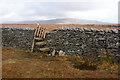SD6979 : Gate in the boundary wall on Gragareth by Bill Boaden