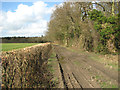 TM4682 : Muddy track by Primrose Wood by Evelyn Simak
