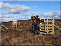 SD5750 : Fence junction near Johnny Pye's Clough Top by Trevor Littlewood