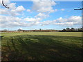 Wood and field from Heath Road