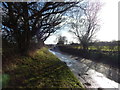 Heath Road looking towards Polstead