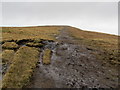 SD8040 : Path above the Eastern Escarpment of Pendle Hill (2) by Chris Heaton