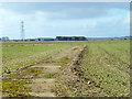 Old access road, former RAF Oakley