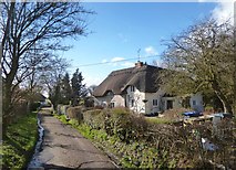 SU0972 : Owl Cottage, Winterbourne Monkton by Des Blenkinsopp