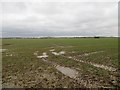 Wet field near Condover