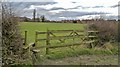 Just an ordinary gate and stile at Brimington