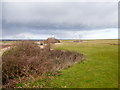 SU9203 : Poles with wires on open farmland by Aldingbourne Rife by Shazz