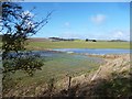 The Aldbourne in the fields