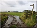 Footpath At Cold Coates