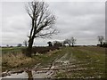 Wet field near Clive