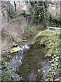 Bitham Brook