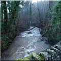 Angiddy near Chapel Hill, Tintern