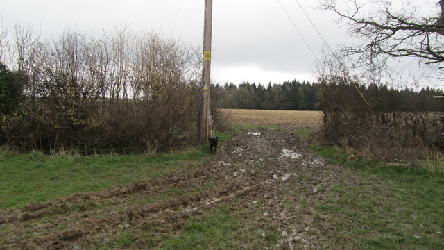 Footpath To Valley Park through Great Covert