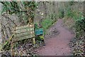 Clyde Walkway towards Lanark