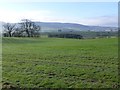 NU0103 : Looking across arable fields into the valley of the Wreigh Burn by Russel Wills