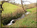 Stream south of Larcombe