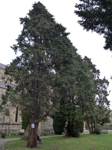 St George Bickley: churchyard (D)