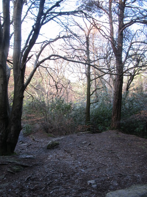 The Donard Trail descending towards Donard Bridge