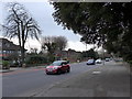 Cars in Bickley Park Road