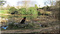 Small stone bench by the lake in Chilworth Conservation area