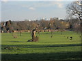 TQ3092 : London skyline viewed from Broomfield Park, Palmers Green by Paul Bryan