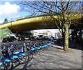 Mile End Park Green Bridge