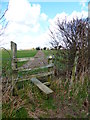 Field path towards Bower Farm