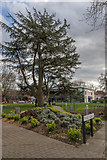 TQ3296 : Library Green from Corner of Cecil Road, Enfield by Christine Matthews