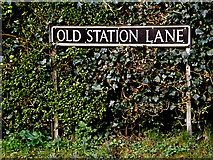 TM3691 : Old Station Lane sign by Geographer