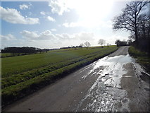 TL9443 : The road to Priory Green by Hamish Griffin