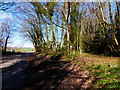 Footpath leaves Bordean Lane